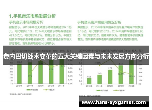 费内巴切战术变革的五大关键因素与未来发展方向分析 费内巴切战术变革的五大关键因素与未来发展方向分析