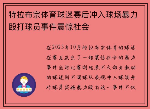 特拉布宗体育球迷赛后冲入球场暴力殴打球员事件震惊社会 特拉布宗体育球迷赛后冲入球场暴力殴打球员事件震惊社会